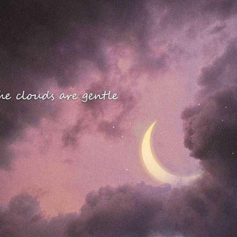 随笔集✨️