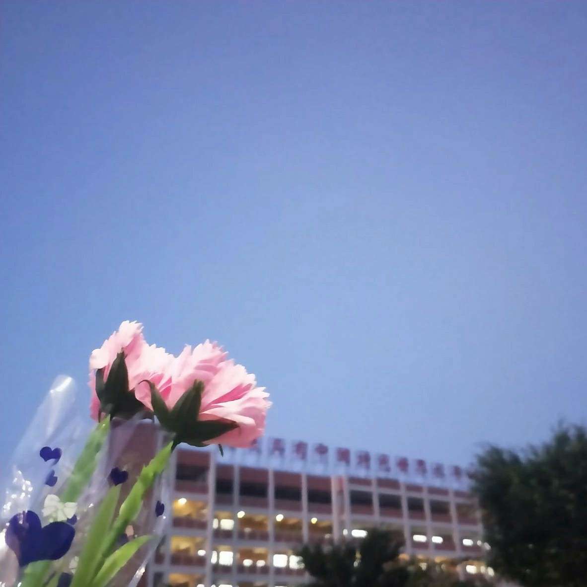 快乐