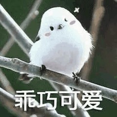小希