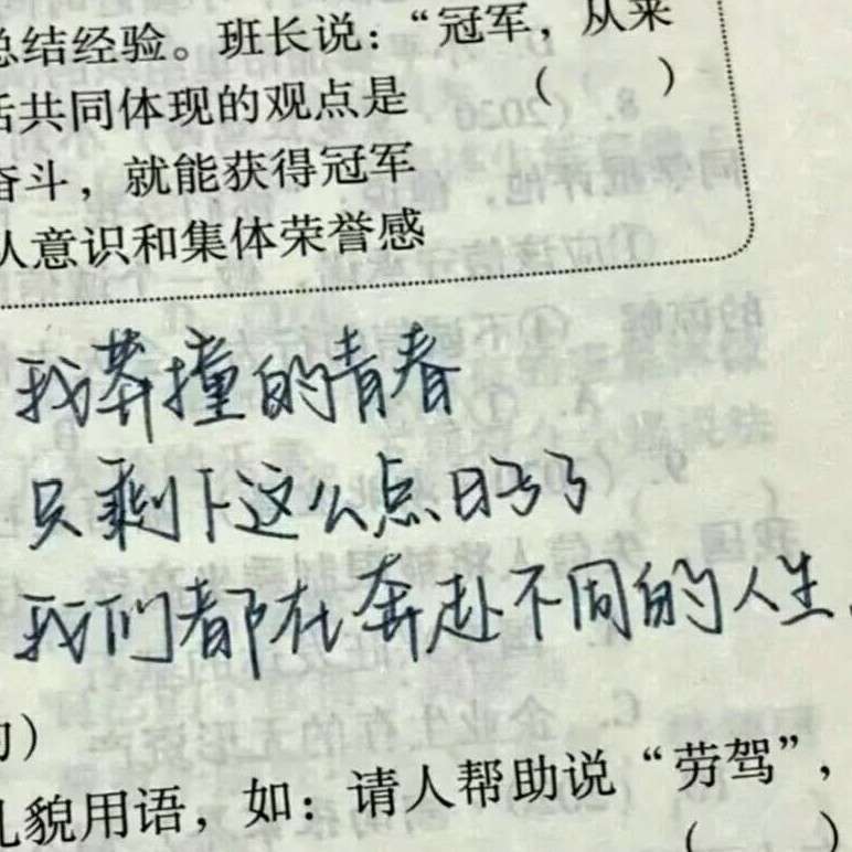 林季的专辑