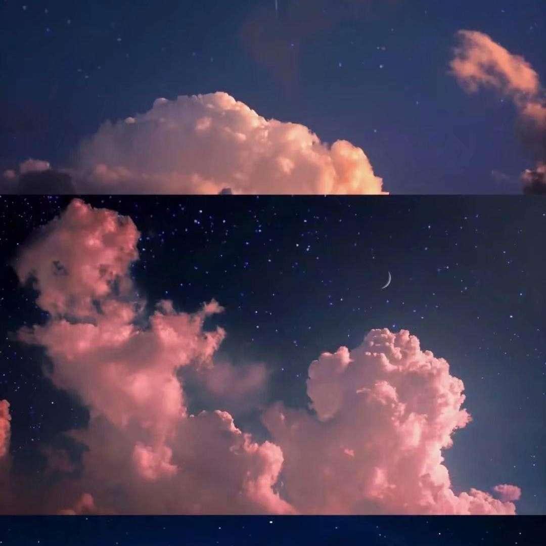 摘录.