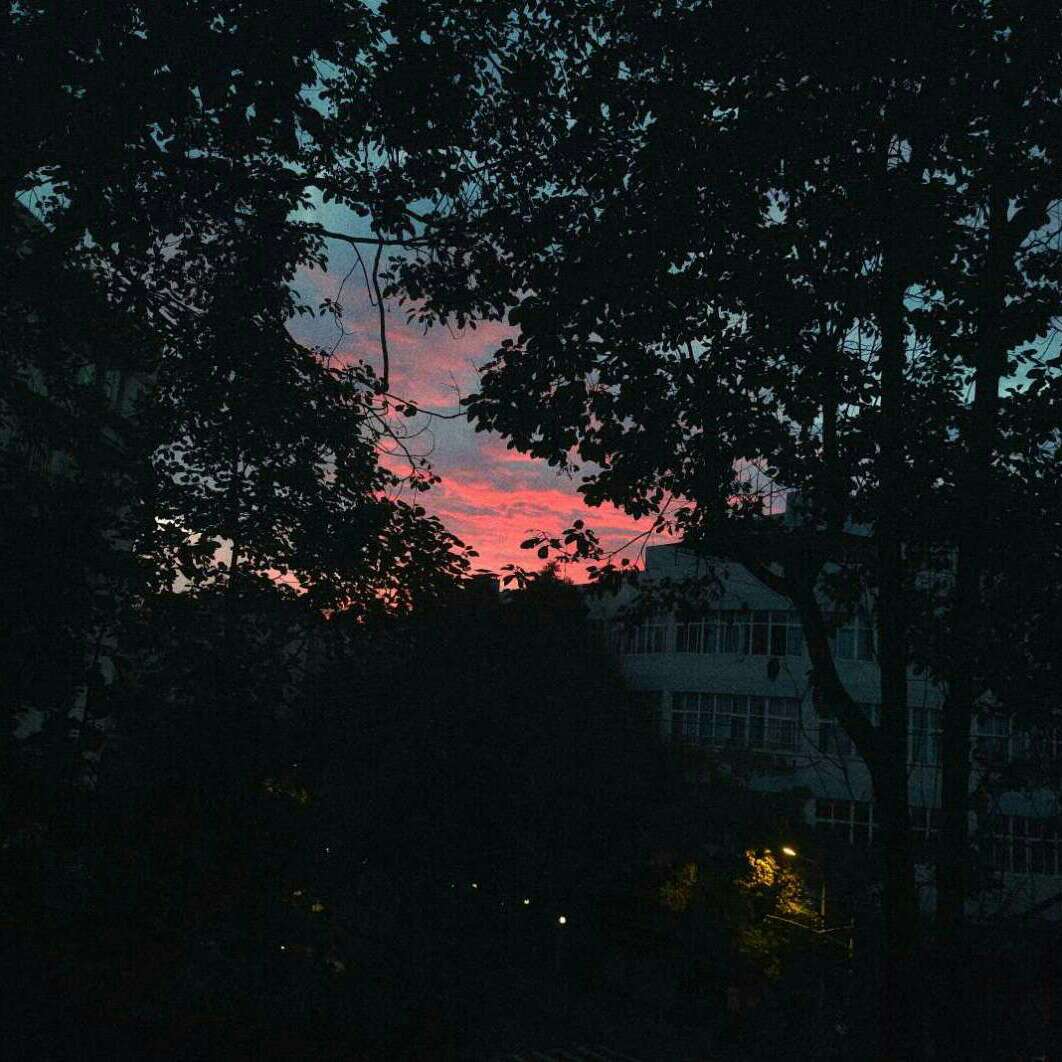 临时