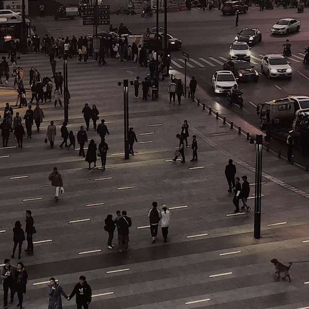 情感