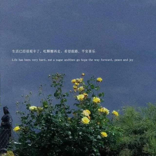 治愈坊
