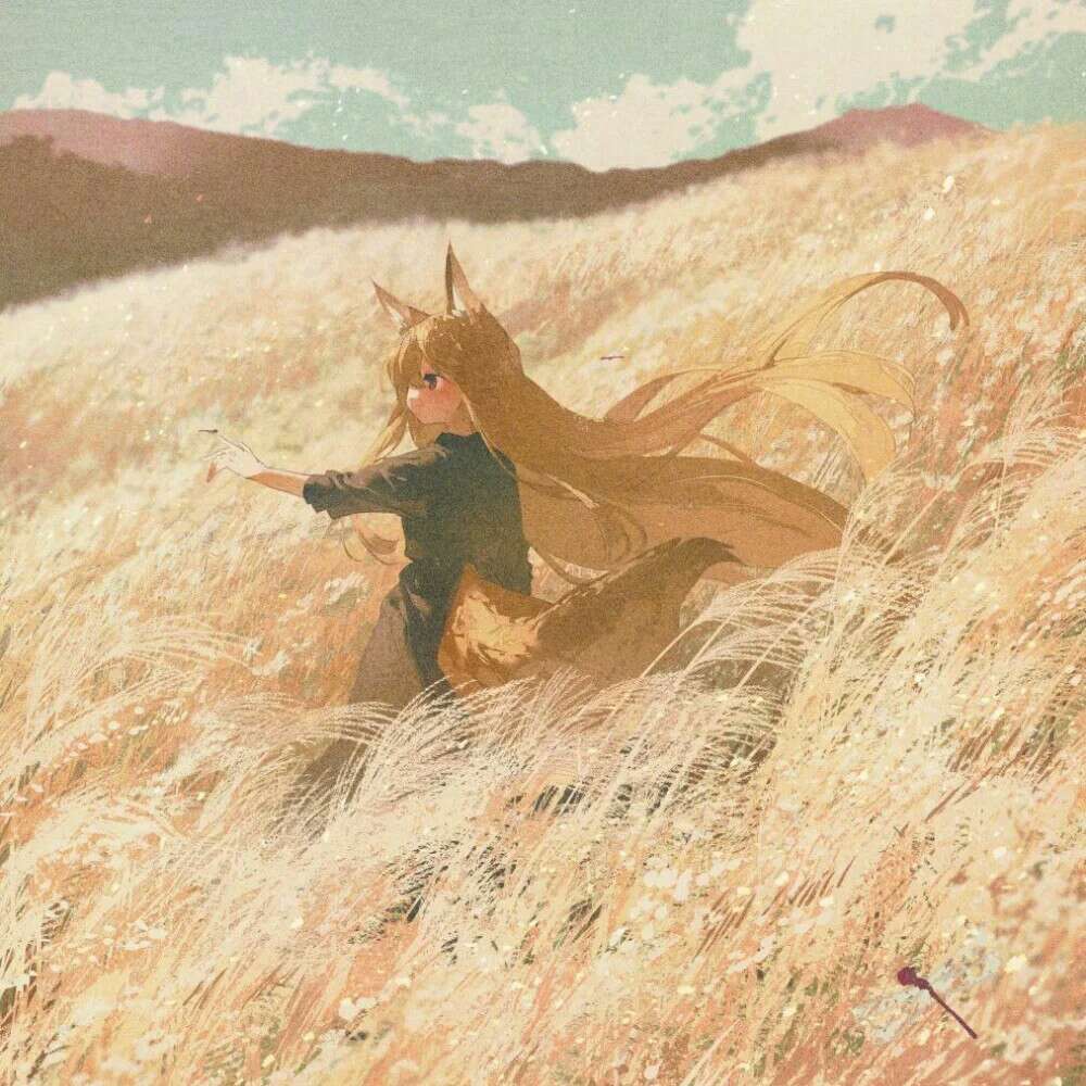 专辑