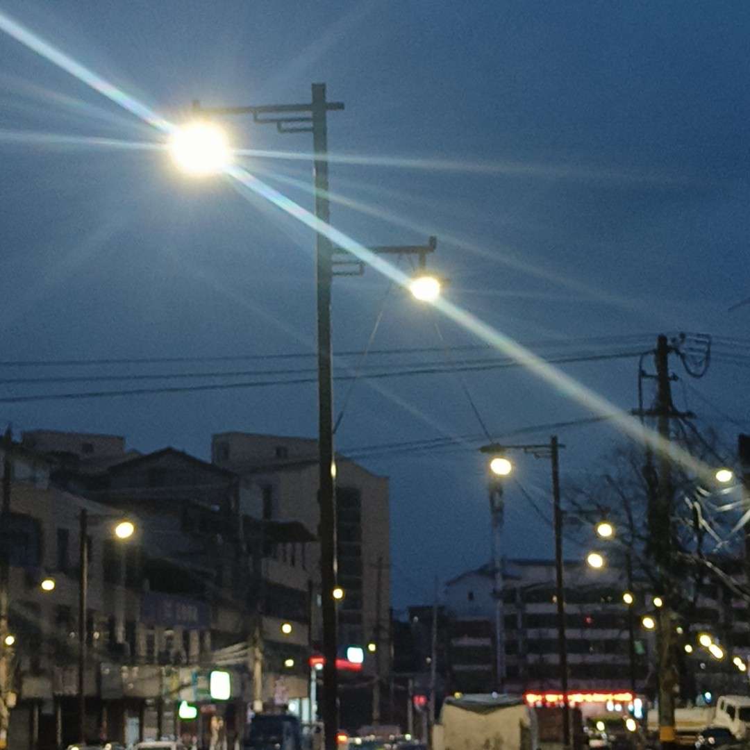 房客