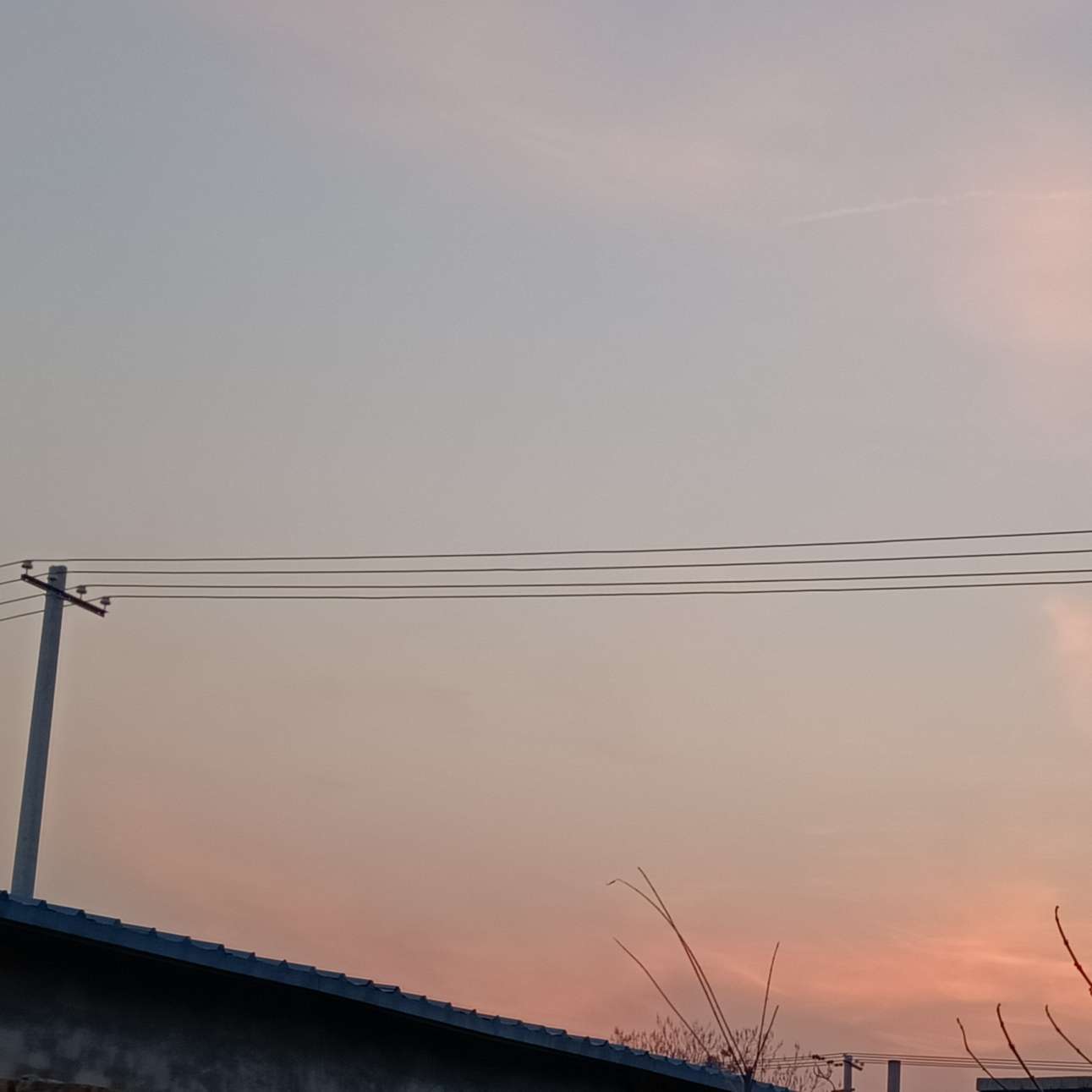 温柔