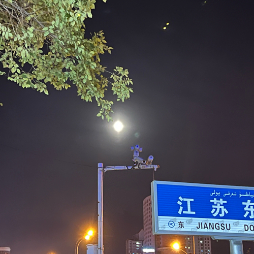 与月有关