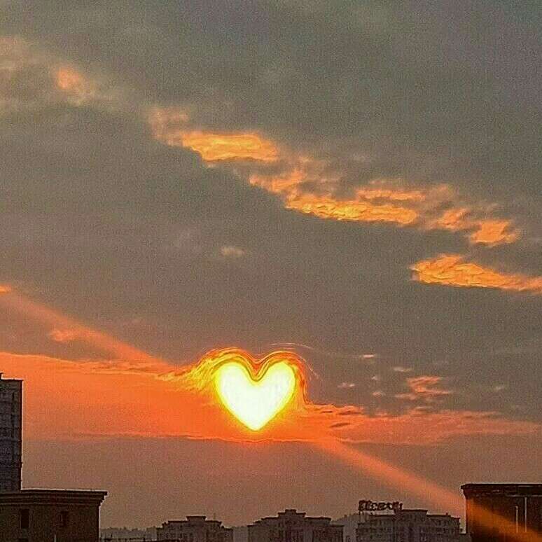 黑凤梨哦