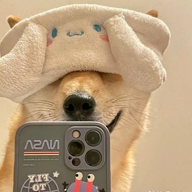 情商