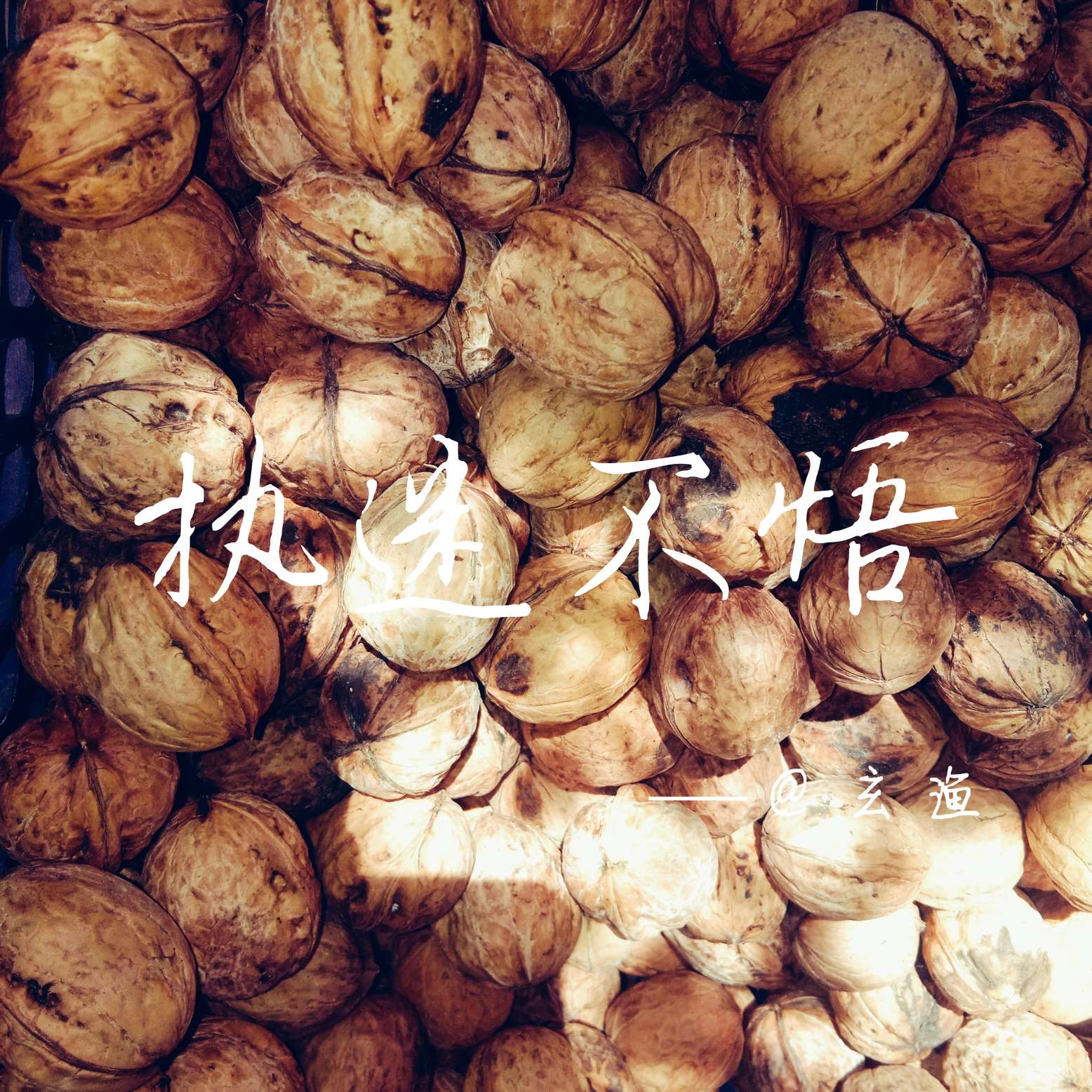 进取