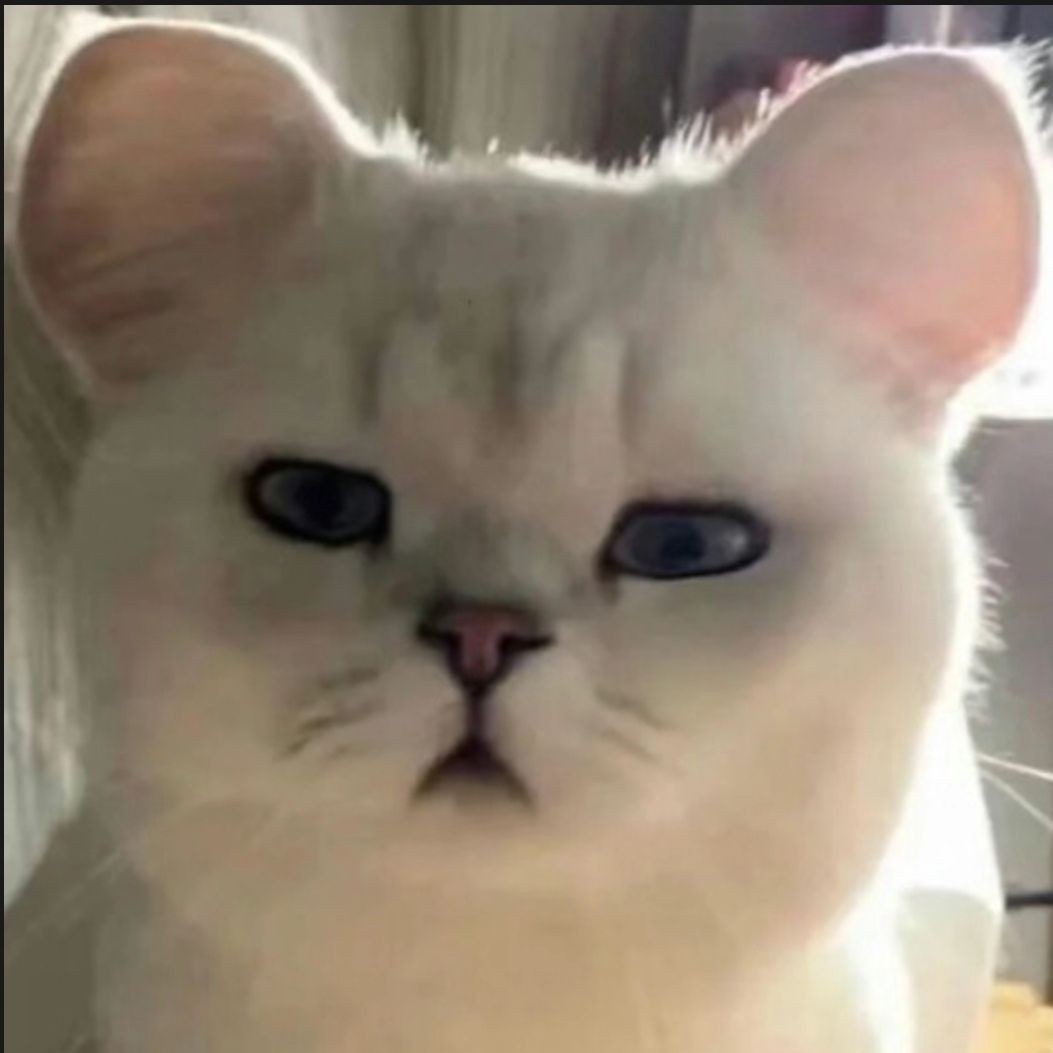 沙雕