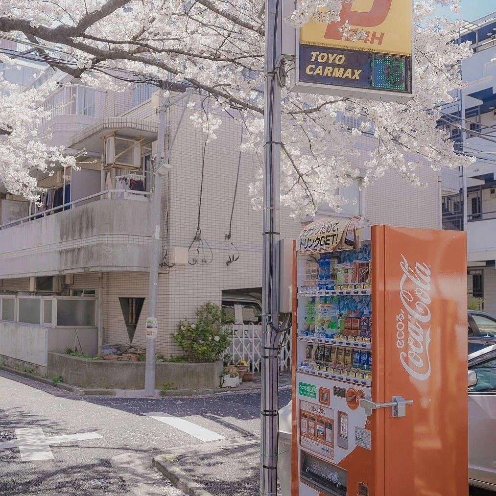 关于那些藏在歌词里的故事