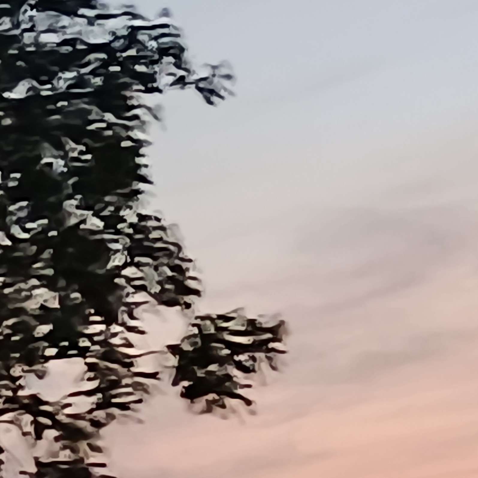 小说摘抄