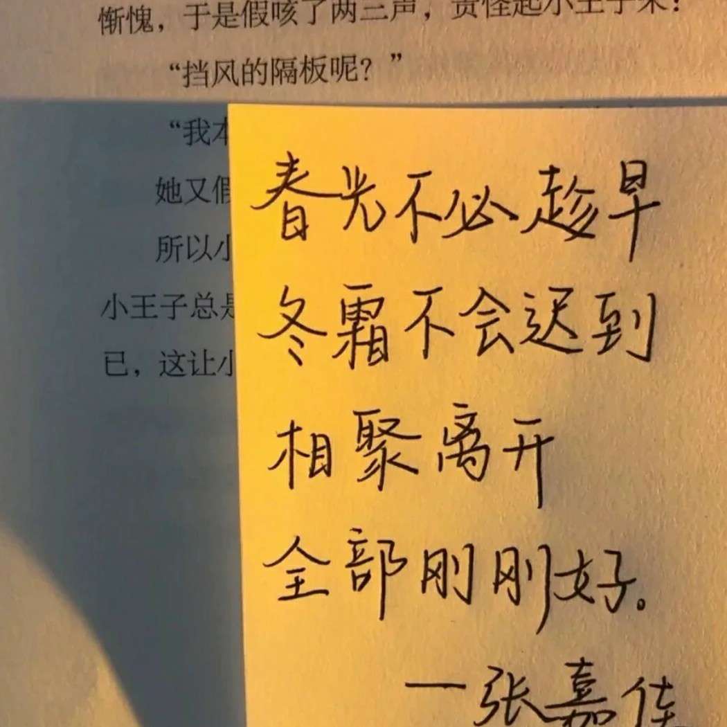 蛮