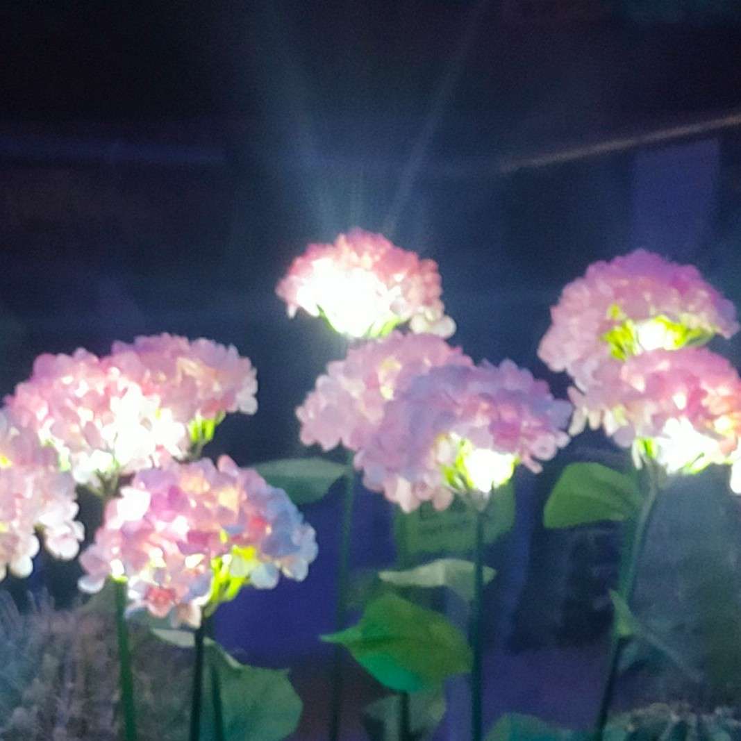 啥都有