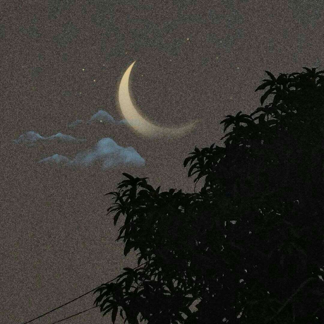 个人爱好