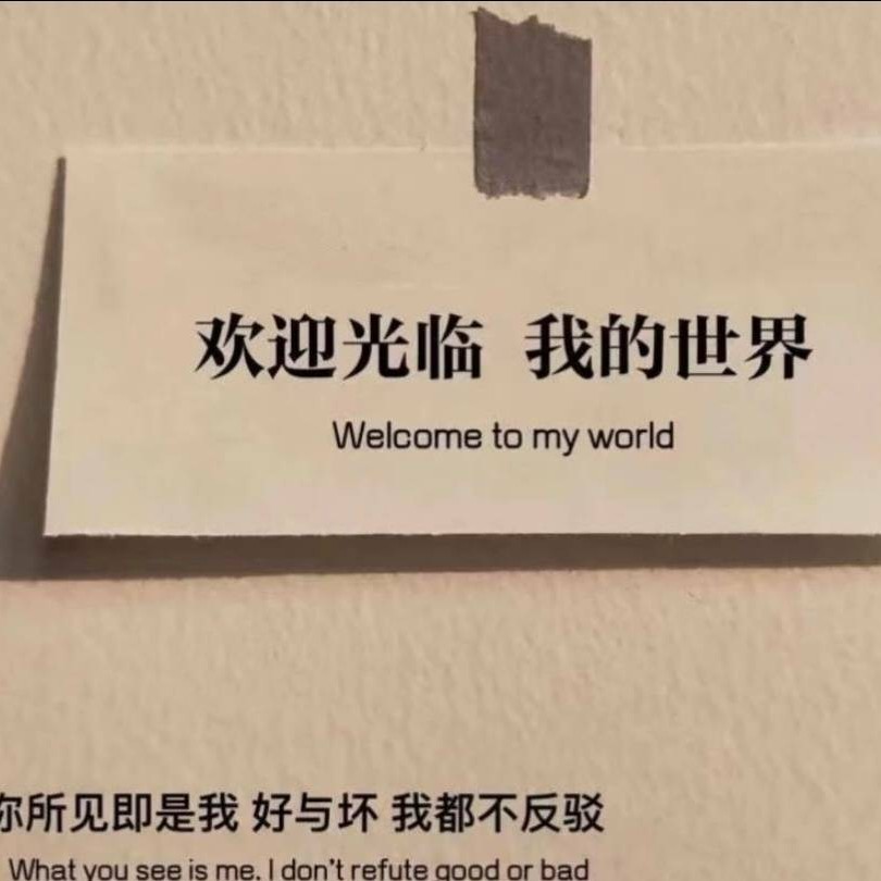 我的世界