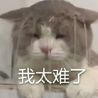 人生
