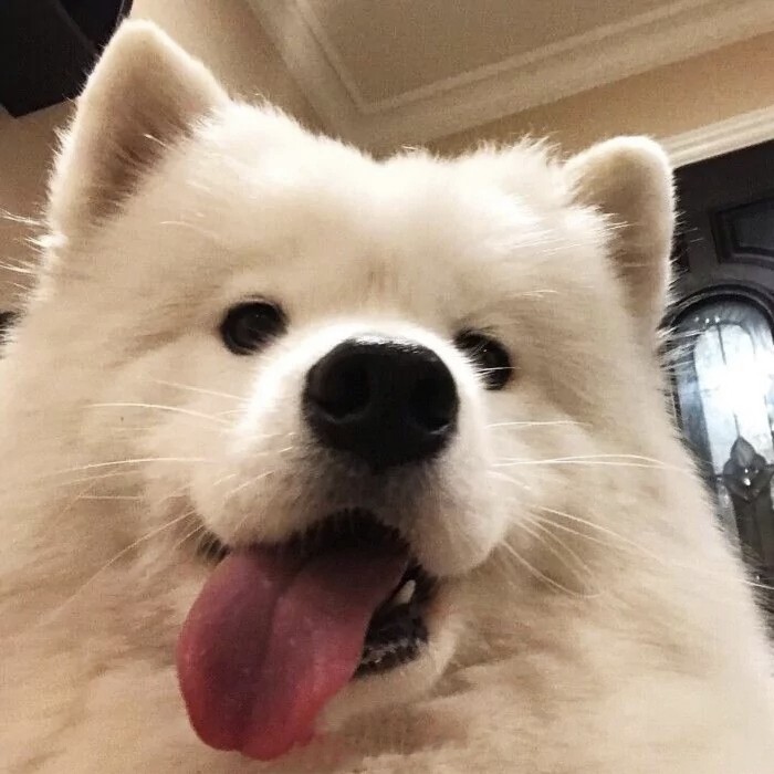 惬意