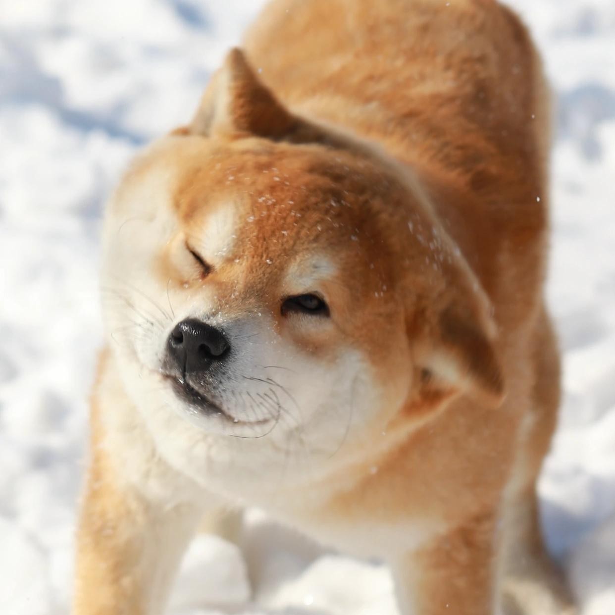 拼搏