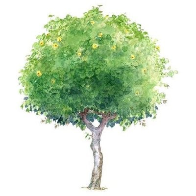 月华沉梦