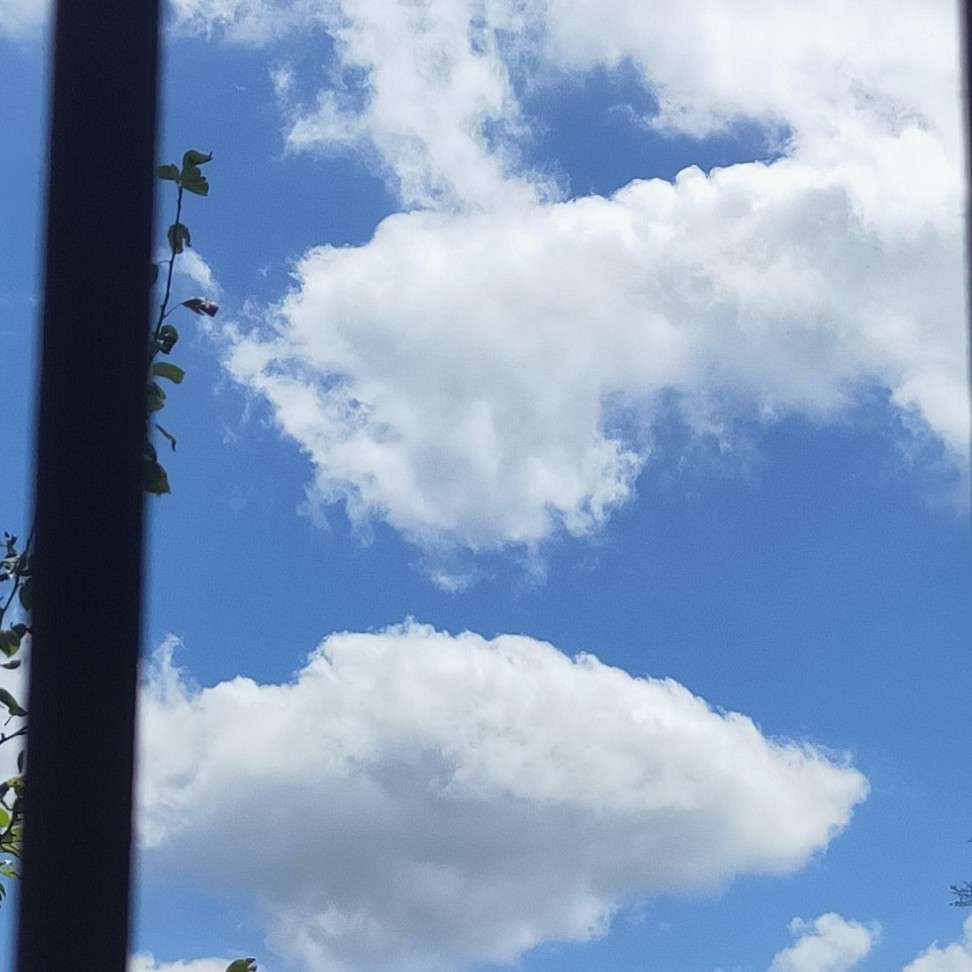 与旭岁岁年年