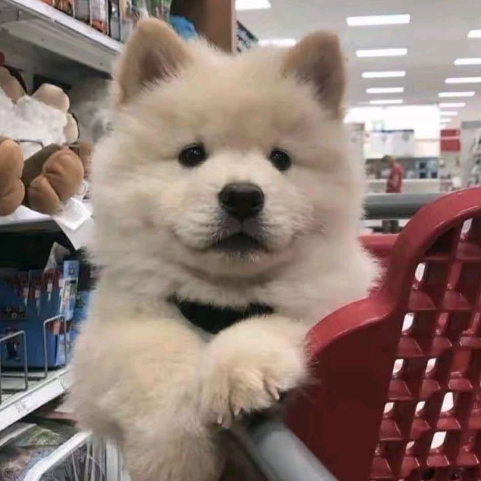 热爱