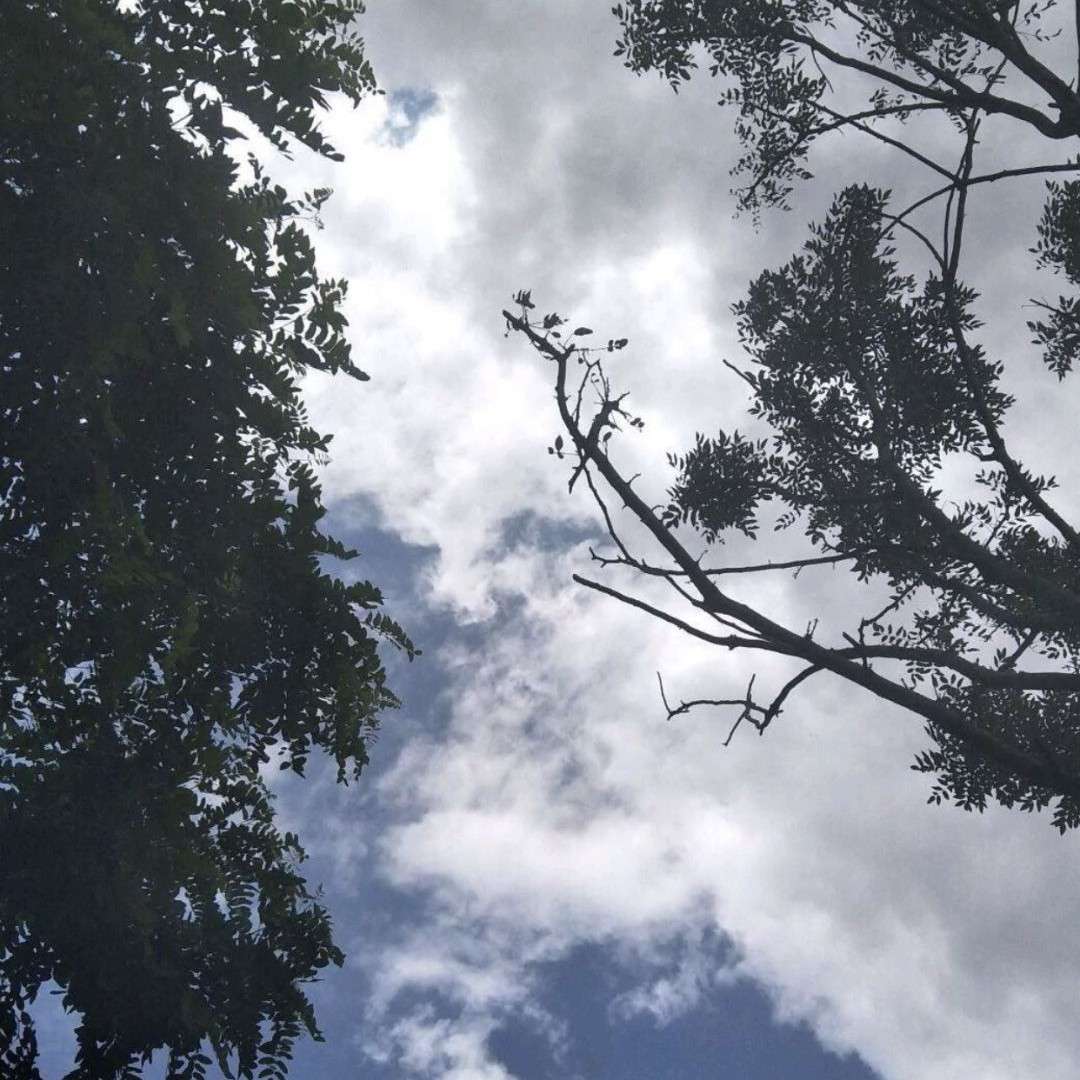 漫