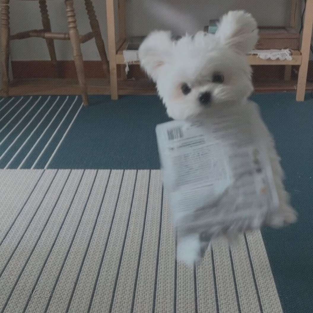 何以窥不破