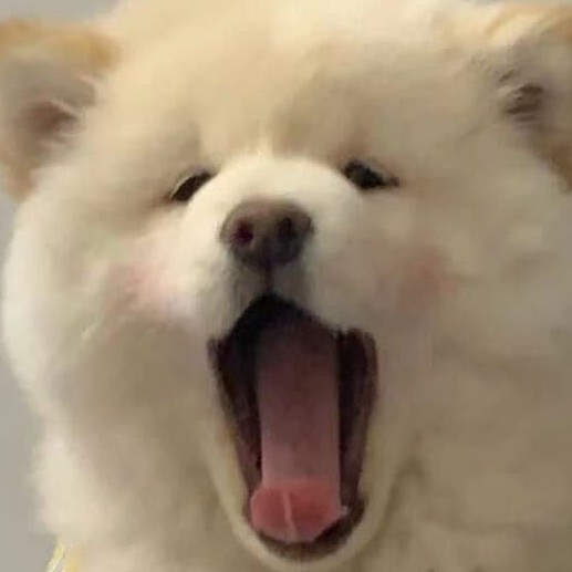 bunchao