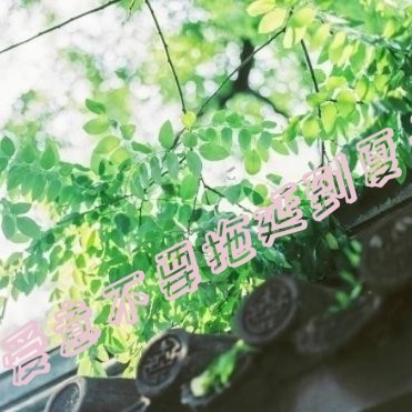 爱意不要拖延到夏天