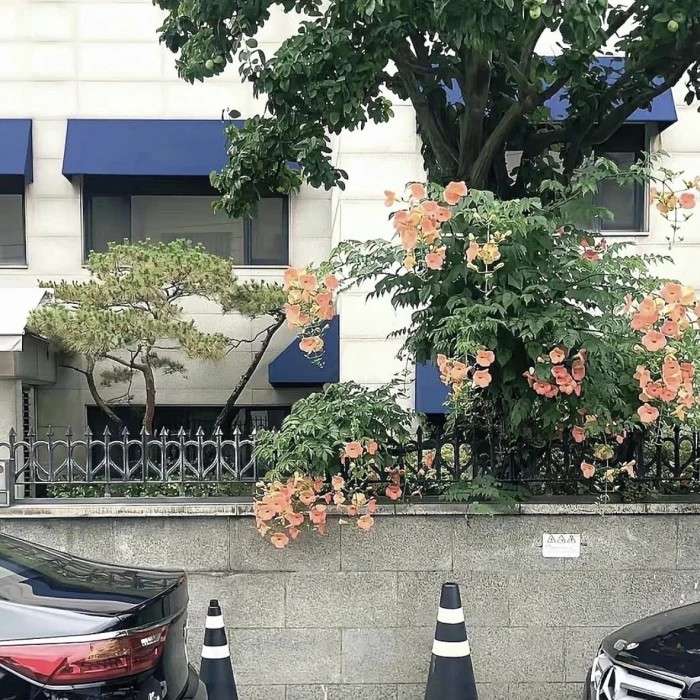 作文素材