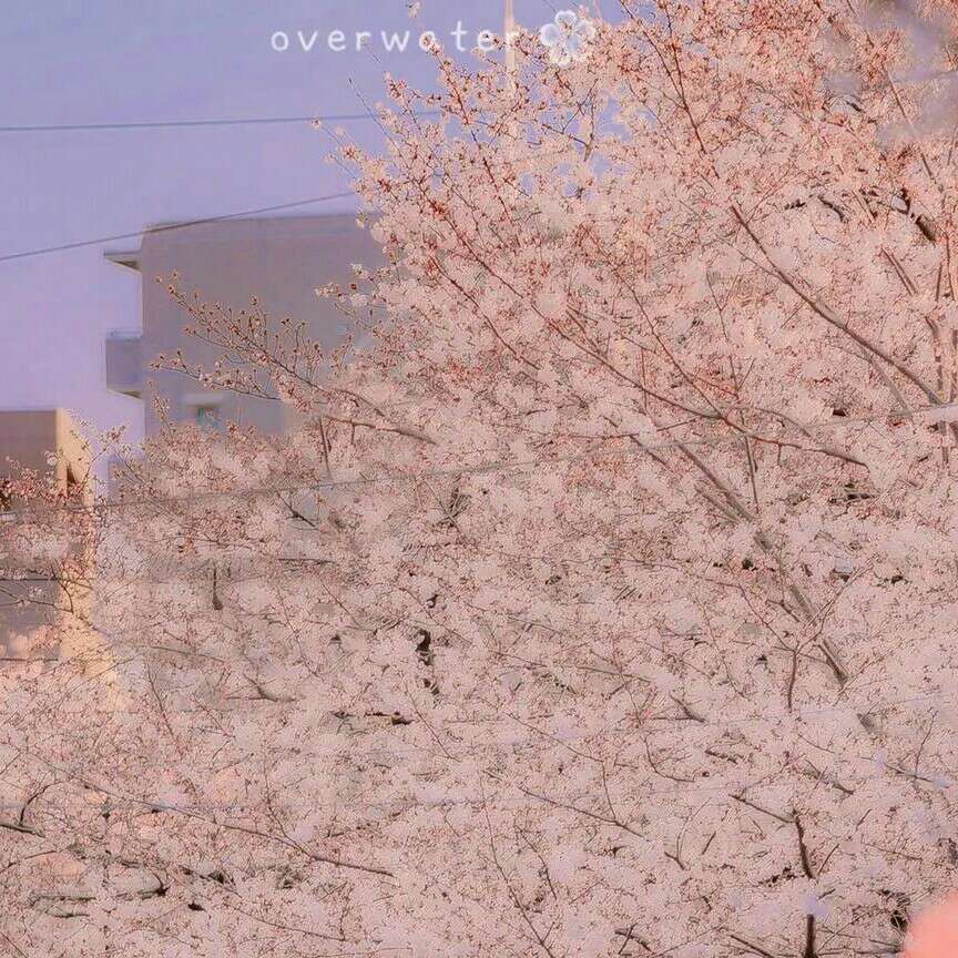 盗笔