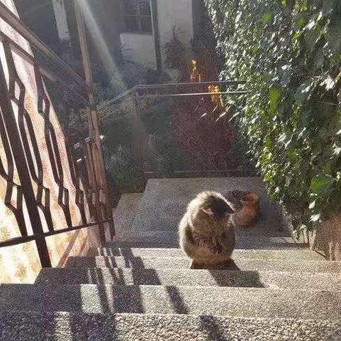 看见