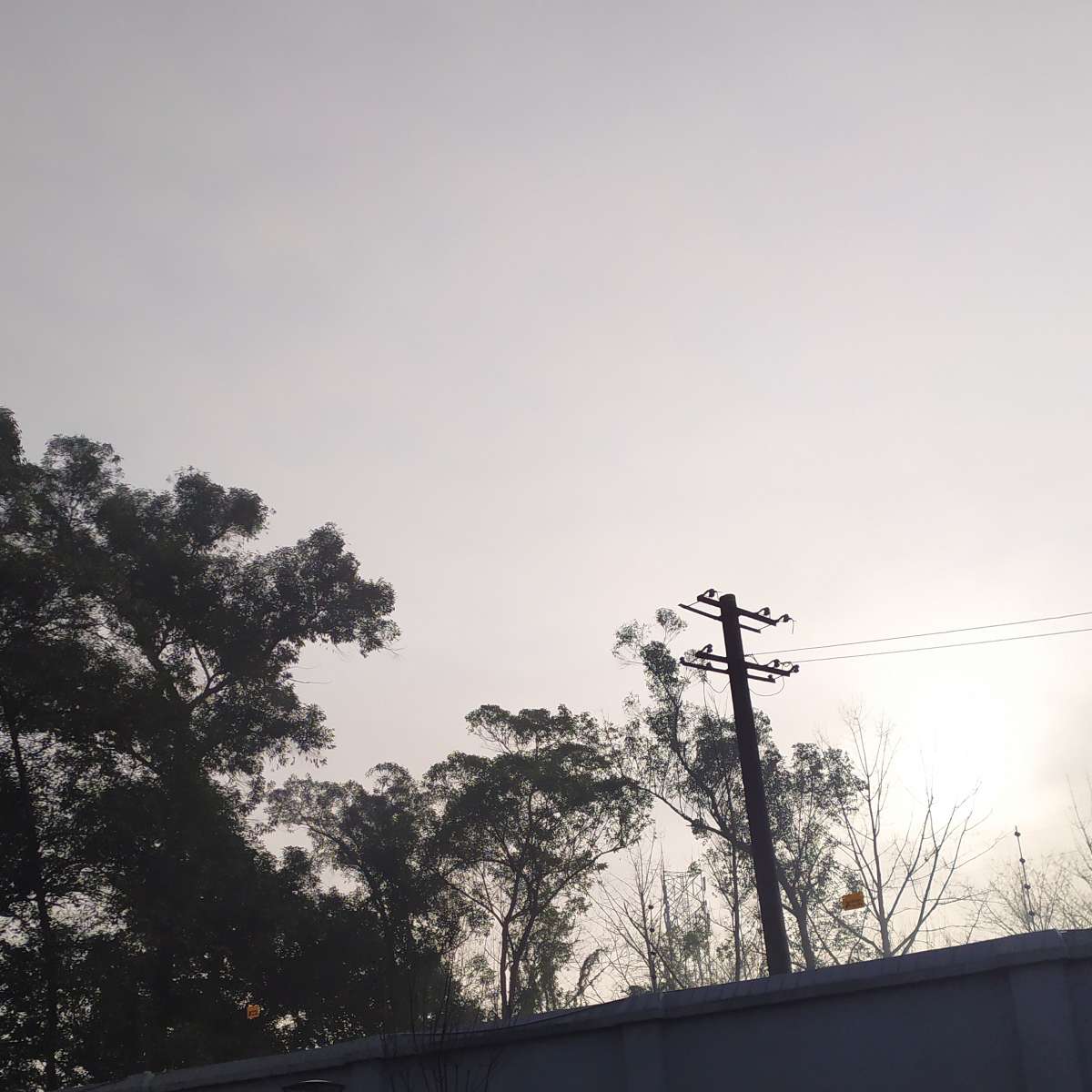 阅雨听风