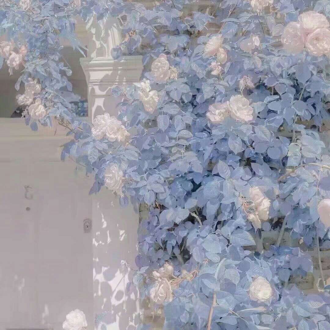 一朵✨的小仙女💕的专辑