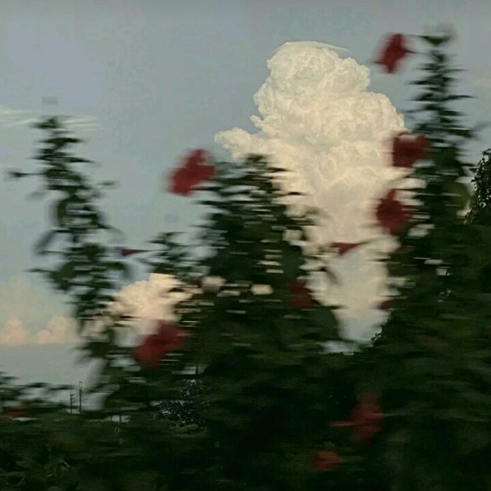 原耽的青春