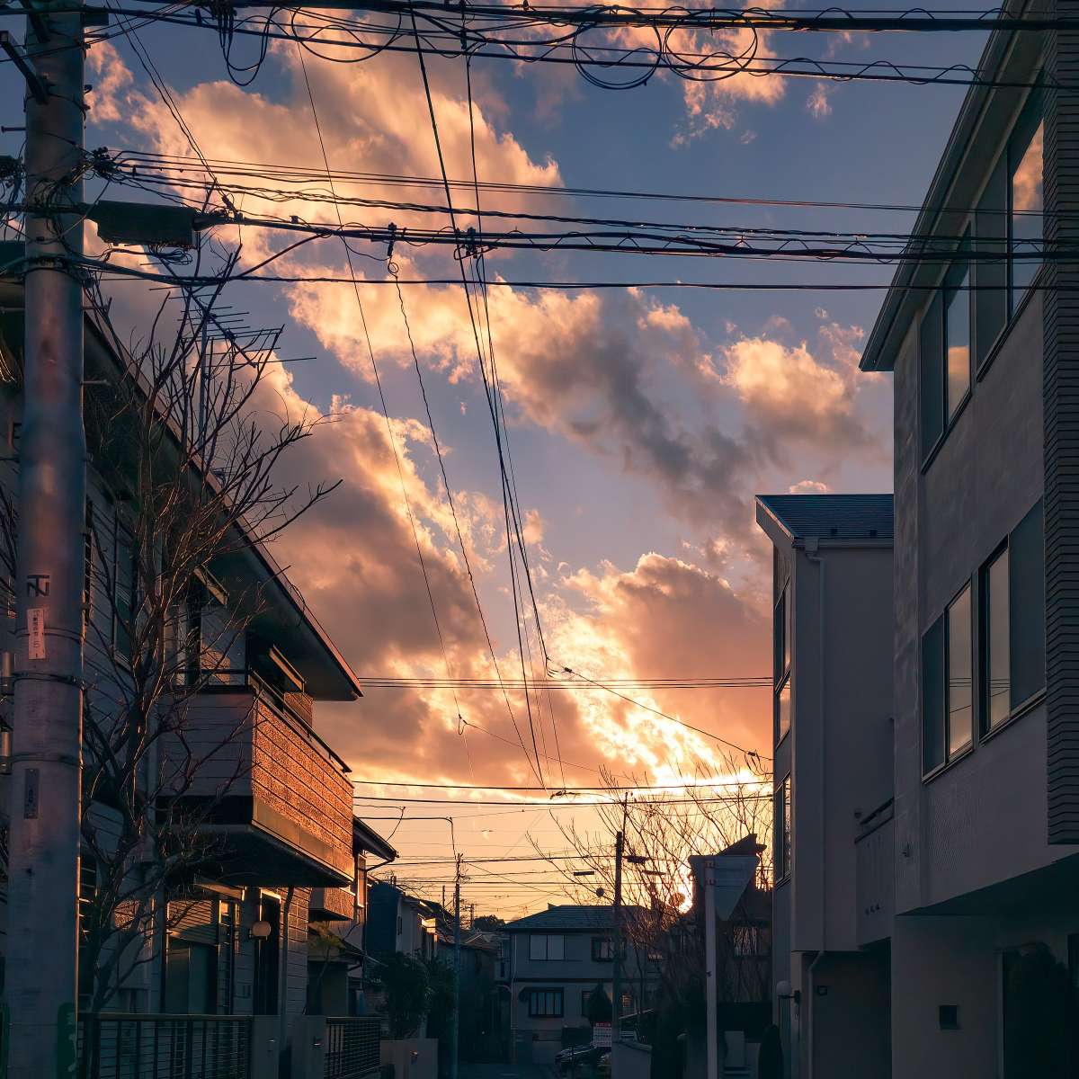 名句