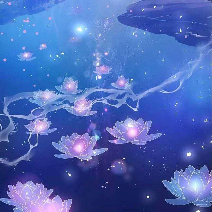 涂极乐空间
