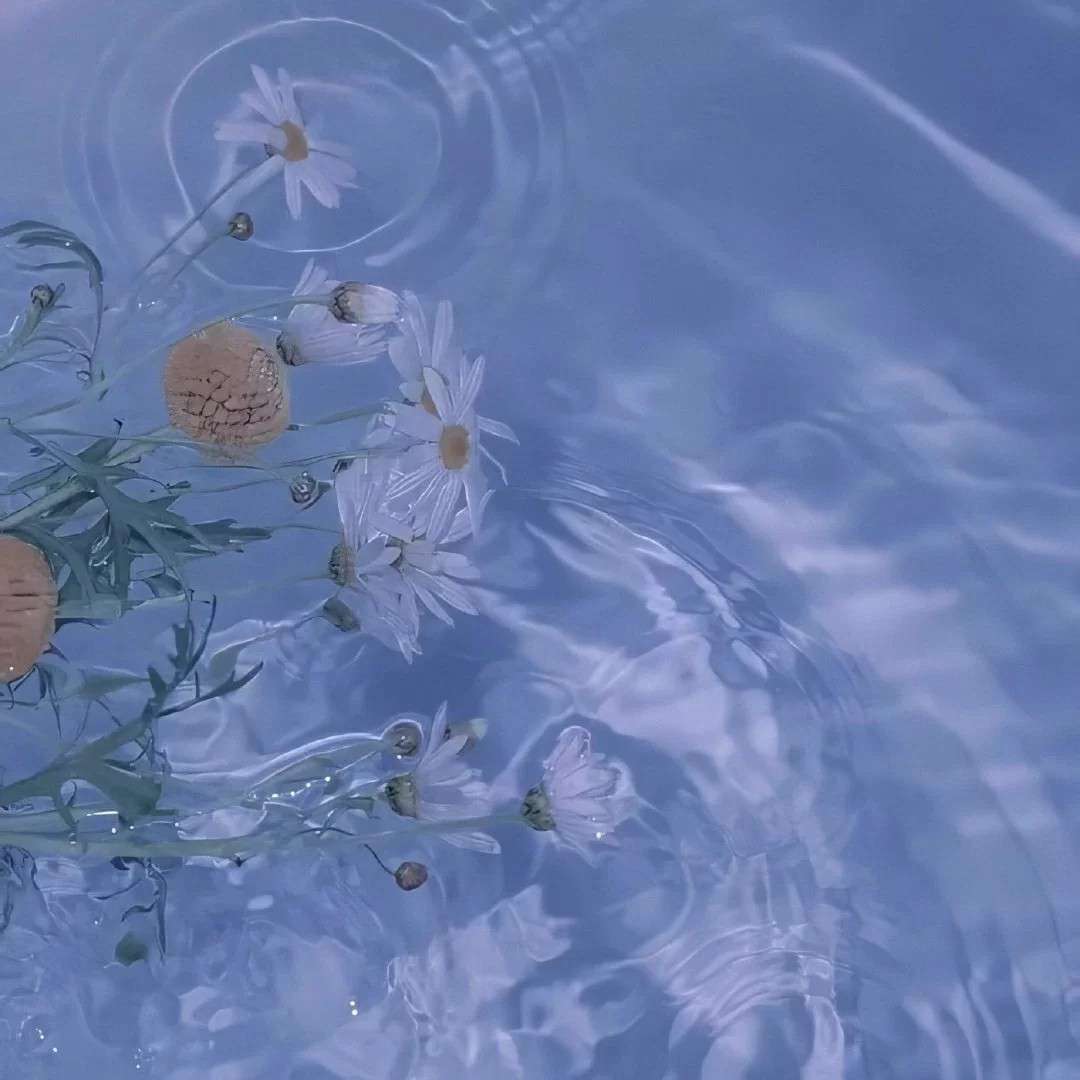 明天见的专辑