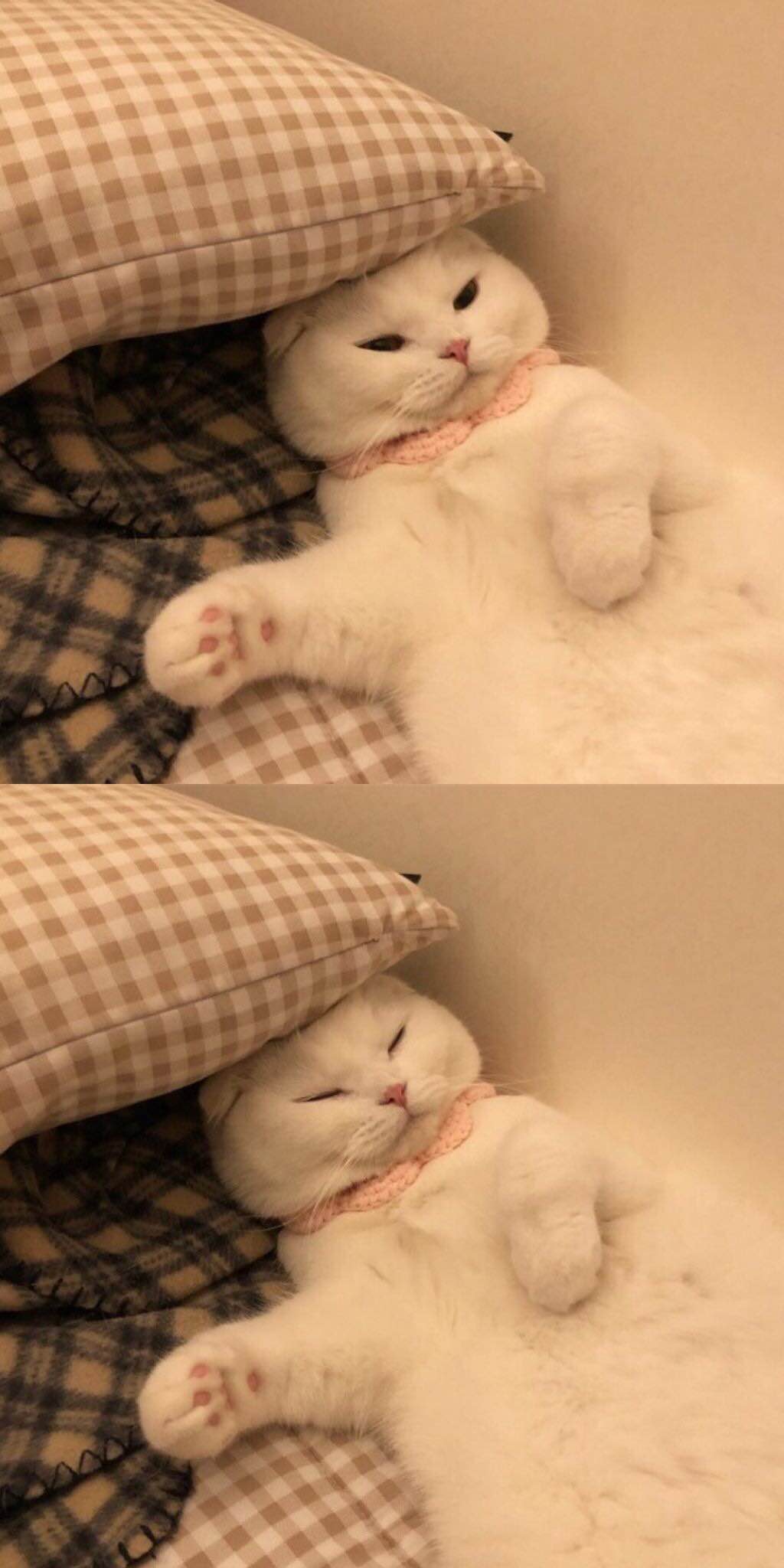 湖