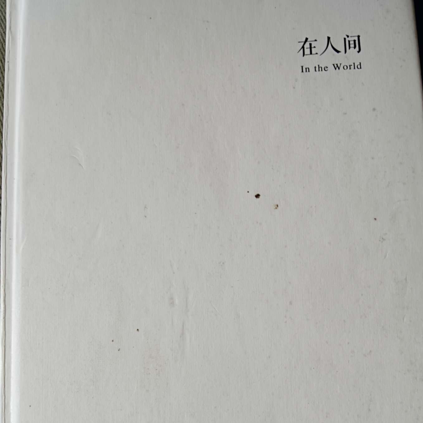《在人间》