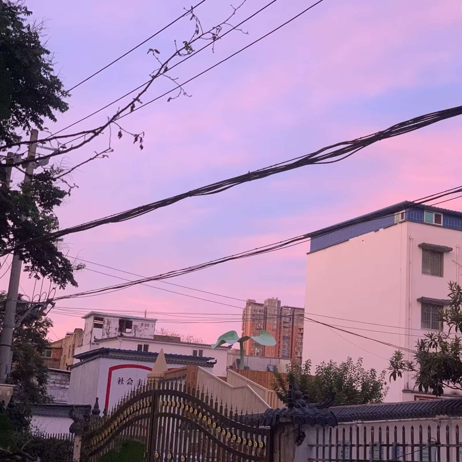 🎨