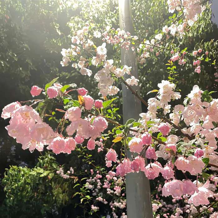 温