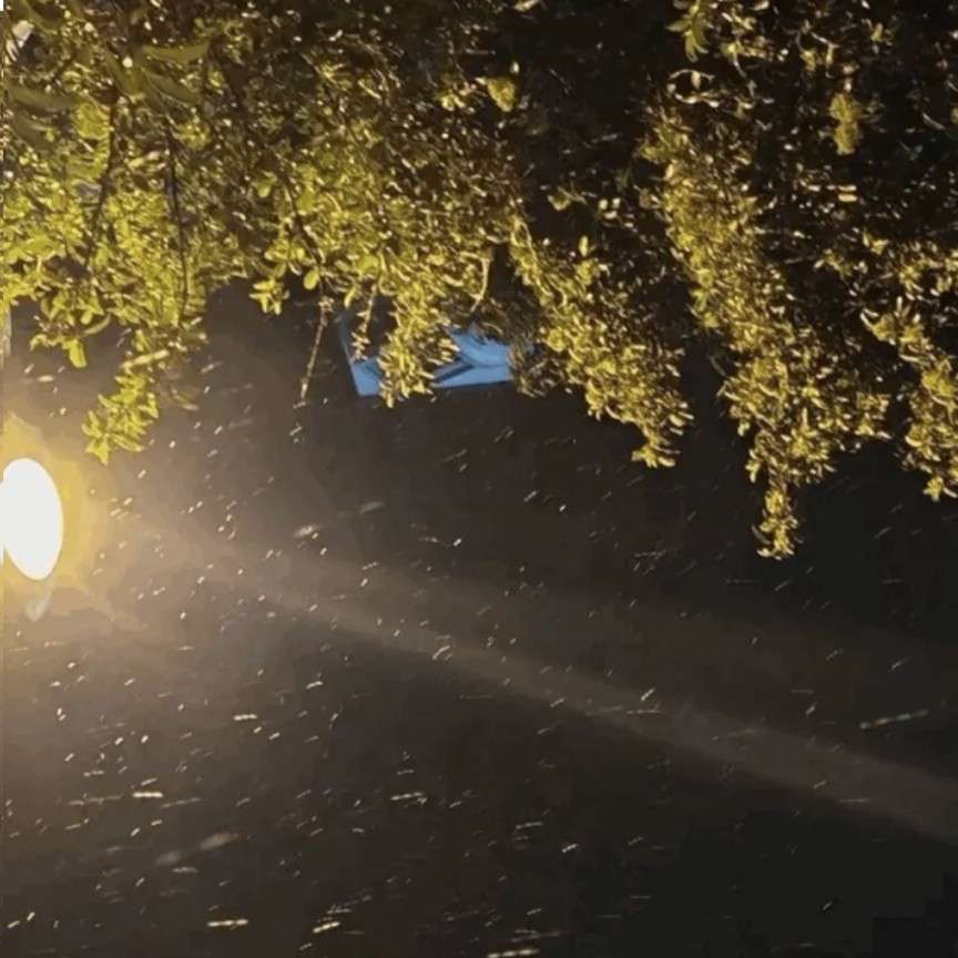 我的专辑