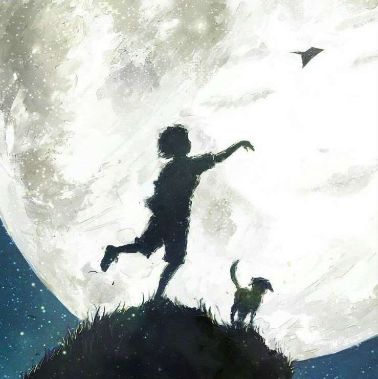 他们