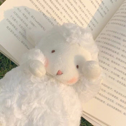学着给自己买花，陪自己长大🌤