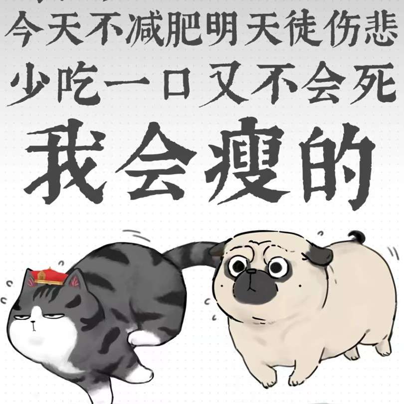 朕很欣赏你
