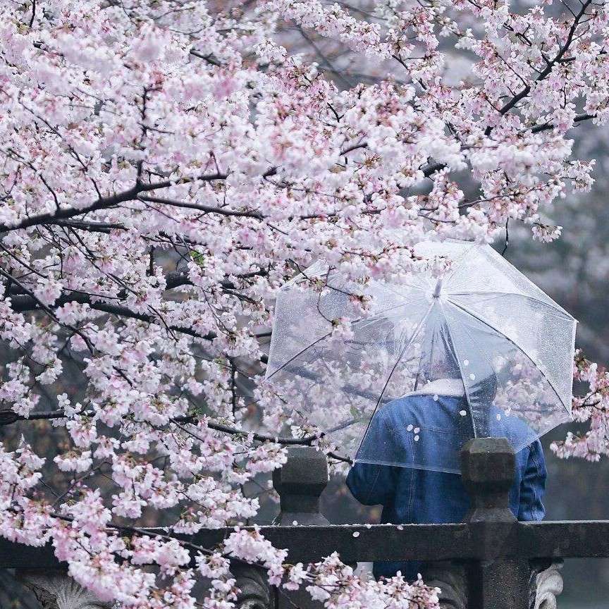 小说